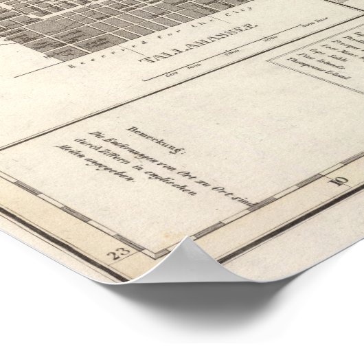 Florida 8 poster (Ecke)