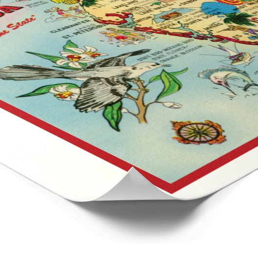 Florida 8x10 mit Border Poster Print (Ecke)