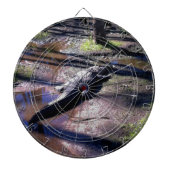 Florida-Alligator Dartscheibe (vorne)