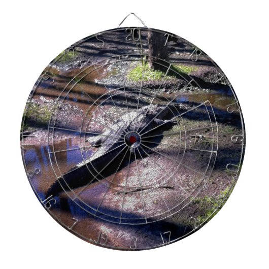 Florida-Alligator Dartscheibe (vorne)