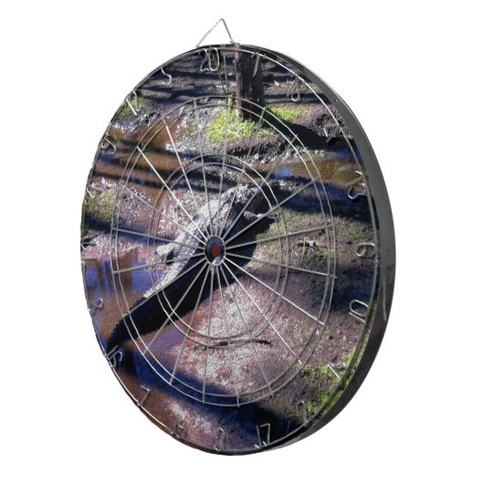 Florida-Alligator Dartscheibe (Vorderseite rechts)