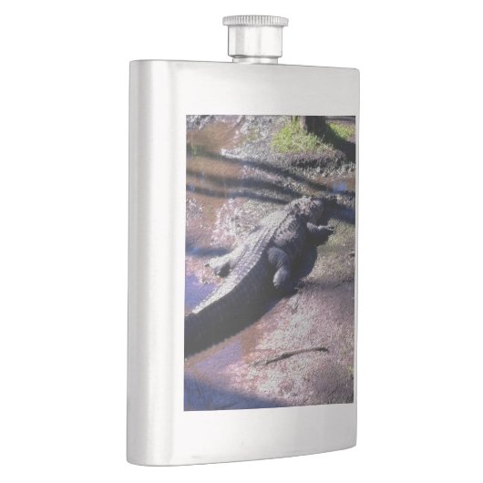 Florida-Alligator Flachmann (Rechts)