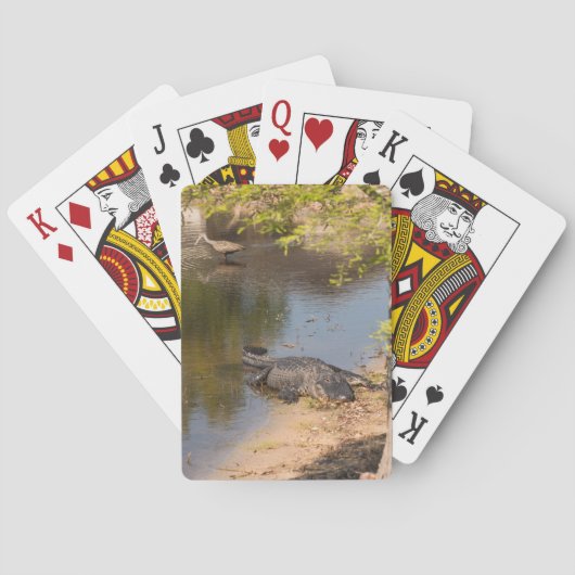 Florida Alligator & Limpkin Vogel im See Spielkarten (Rückseite)