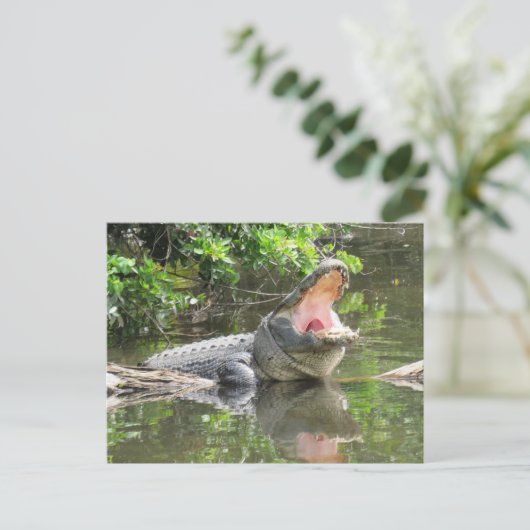 Florida Alligator mit ID-Box Postkarte (Stehend Vorderseite)