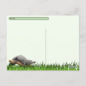 Florida Alligator mit ID-Box verschieben Postkarte (Rückseite)