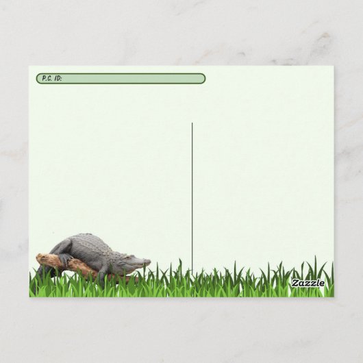 Florida Alligator mit ID-Box verschieben Postkarte (Rückseite)