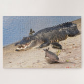 Florida Alligator mit Tieren. Alligator Buffet Puzzle (Horizontal)