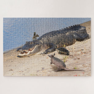 Florida Alligator mit Tieren. Alligator Buffet Puzzle