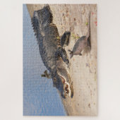 Florida Alligator mit Tieren. Alligator Buffet Puzzle (Vertikal)