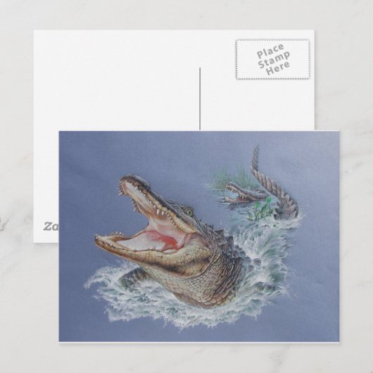 Florida Alligator Postkarte (Vorne/Hinten)