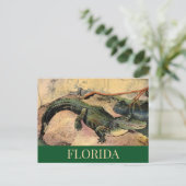 Florida-Alligator-Postkarte Postkarte (Stehend Vorderseite)