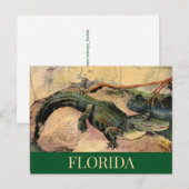 Florida-Alligator-Postkarte Postkarte (Vorne/Hinten)