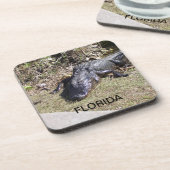 Florida Alligator Ruhen in den Everglades Getränkeuntersetzer (Linke Seite)