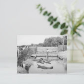 Florida Alligator Show, 1904 Postkarte (Stehend Vorderseite)