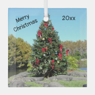 Florida Alligator Weihnachtsglas-Ornament Ornament Aus Glas