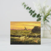 Florida Alligators Postcard Postkarte (Stehend Vorderseite)