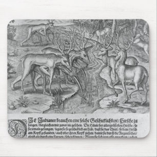 Florida-amerikanischer Ureinwohner, der Rotwild Mousepad