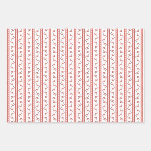 Florida Animals Wrapping Paper  Geschenkpapier Set (Vorderseite 2)