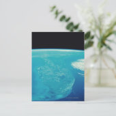Florida aus dem Weltraum Postkarte (Stehend Vorderseite)