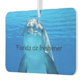 Florida  autolufterfrischer (Links)
