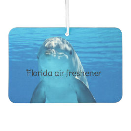 Florida autolufterfrischer