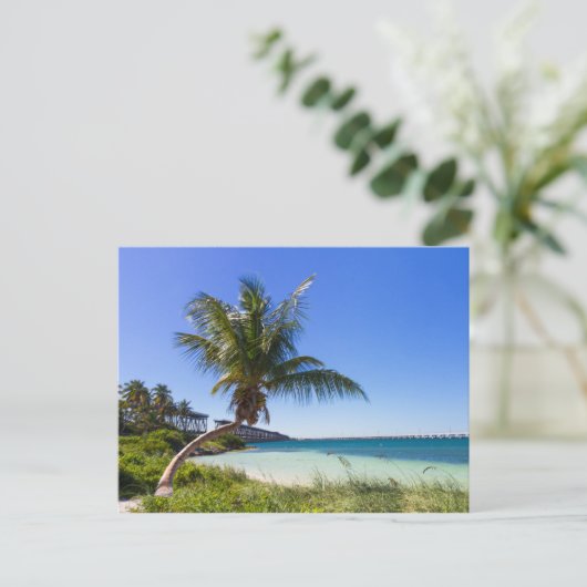Florida - Bahia Honda Postkarte (Stehend Vorderseite)