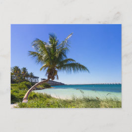 Florida - Bahia Honda Postkarte