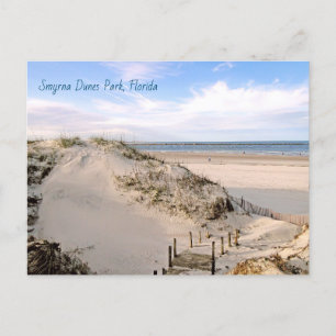 Florida Beach Dunes Park Ponce Inlet Postcard Postkarte