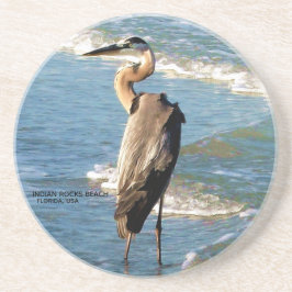 Florida Beach Great Blue Heron Bird Nature Foto Getränkeuntersetzer