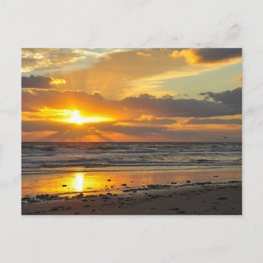 Florida Beach Landschaftlich Sunrise Tasse Postkarte (Vorderseite)