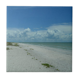 Florida Beach Paradise Fotografie Fliese