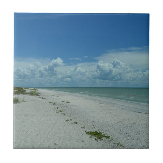 Florida Beach Paradise Fotografie Fliese (Vorderseite)