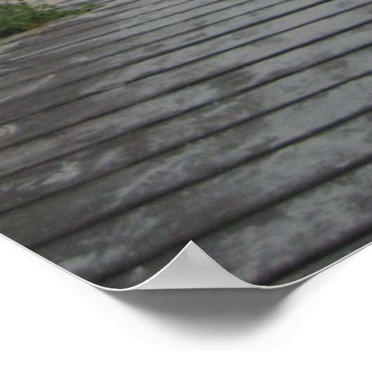 Florida Beach Path Poster (Ecke)