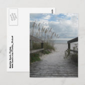 Florida Beach Path Postkarte (Vorne/Hinten)