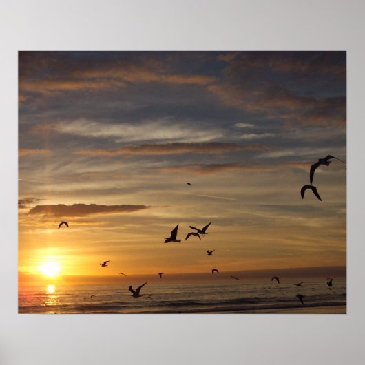 Florida Beach Sunset mit Vögeln Poster (Vorne)