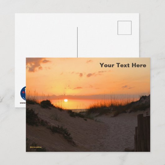 Florida Beach Sunset Postkarte (Vorne/Hinten)