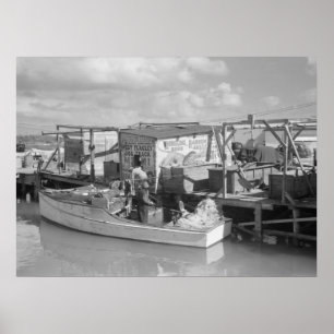 Florida befestigt Fischen, 1938 Poster