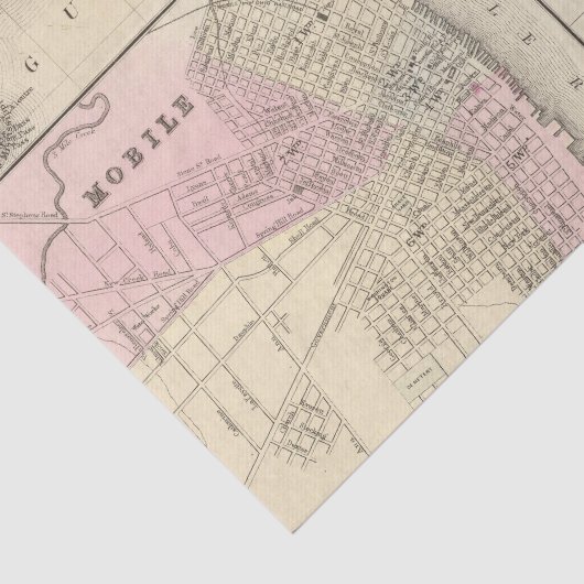 Florida, beweglich seidenpapier (Ausschnitt)