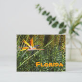 Florida Bird of Paradise Postkarte (Stehend Vorderseite)