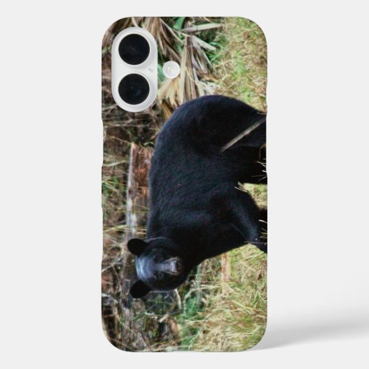 Florida Black Bear Case-Mate iPhone Hülle (Rückseite)