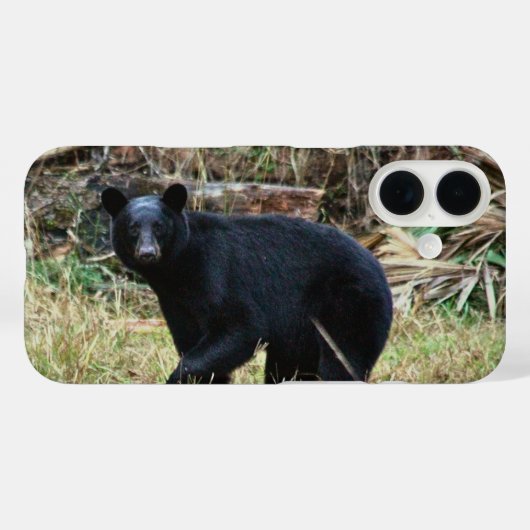 Florida Black Bear Case-Mate iPhone Hülle (Rückseite (Horizontal))