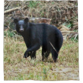 Florida Black Bear Duschvorhang (Vorderseite)