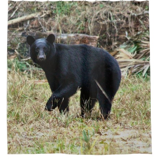 Florida Black Bear Duschvorhang (Vorderseite)
