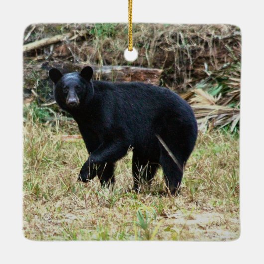 Florida Black Bear Keramikornament (Rückseite)