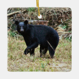 Florida Black Bear Keramikornament
