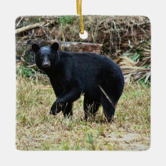 Florida Black Bear Keramikornament (Vorderseite)