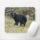 Florida Black Bear Mousepad (Mit Mouse)