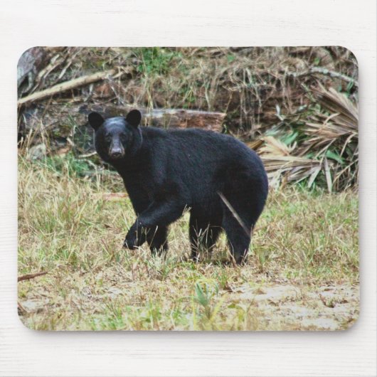 Florida Black Bear Mousepad (Vorne)