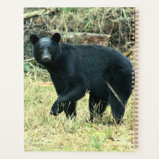 Florida Black Bear Planer (Rückseite)