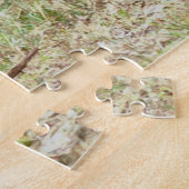 Florida Black Bear Puzzle (Seite)